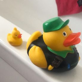 duck mascot