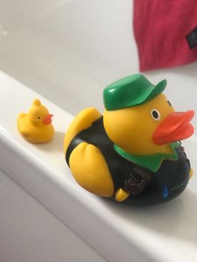 duck mascot