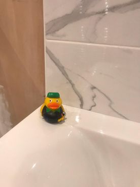 duck mascot